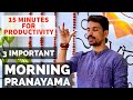 15 MINUTES PRANAMAYA MORNING PURIFICATION PRANAYAMA PRANAYAMA FOR BEGINNERS