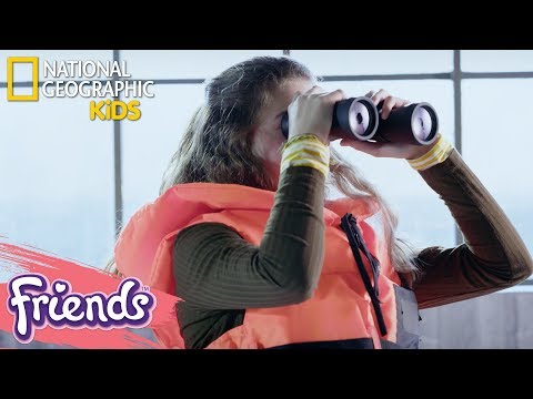 Конструктор Lari «Спасение черепах» 11370 (Friends 41376) / 228 деталей