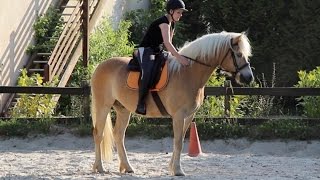 Mon propre cheval ? Azzaro fait sa crise d'ado... Le journal d'une Cow épisode n°14