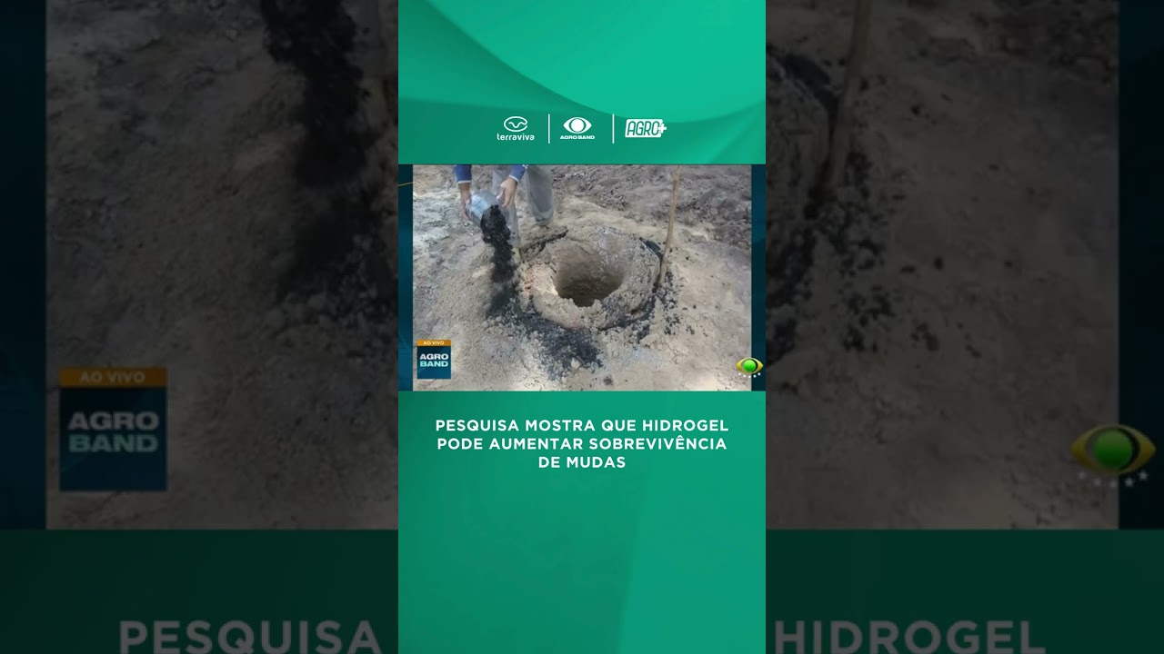 Pesquisa mostra que hidrogel pode aumentar sobrevivência de mudas