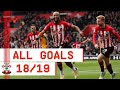 GOALS GOALS GOALS | Nathan Redmond's 2018/19 Southampton strikes