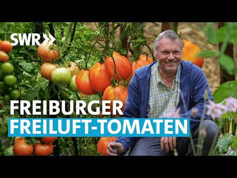 , title : 'Der Tomaten-Spezialist (2/6) | Mein leckerer Garten'
