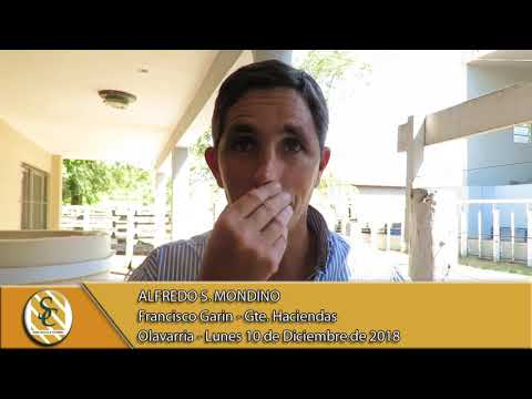 10-12-18 Nota Francisco Garin - Gte. Hacienda - Alfredo S. Mondino - Olavarria