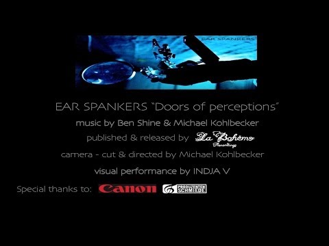 "Doors of perception" by EAR SPANKERS