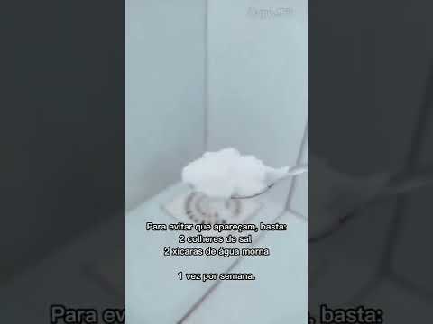 Acabe com os mosquitos no seu banheiro. #shorts