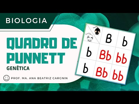 Quadro de Punnett - GENÉTICA