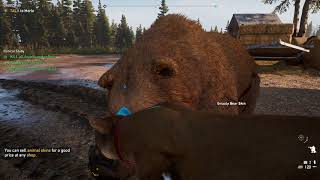 Far Cry 5 Get 2nd Undamaged Grizzly Bear Skin from Farm