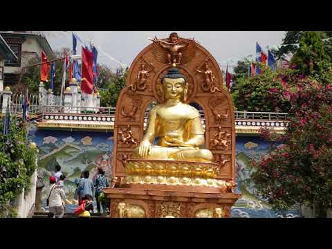 https://youtu.be/2JlGNYM5rjA