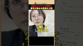 東京とエジプトが提携？さとうさおりが指摘する“ホームタウン制度”の問題点とは