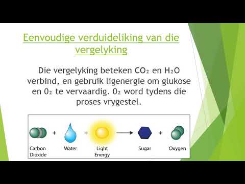 LEWENSWETENSKAP GRAAD 8: 20 Mei 2020 - periode 7 (20087)