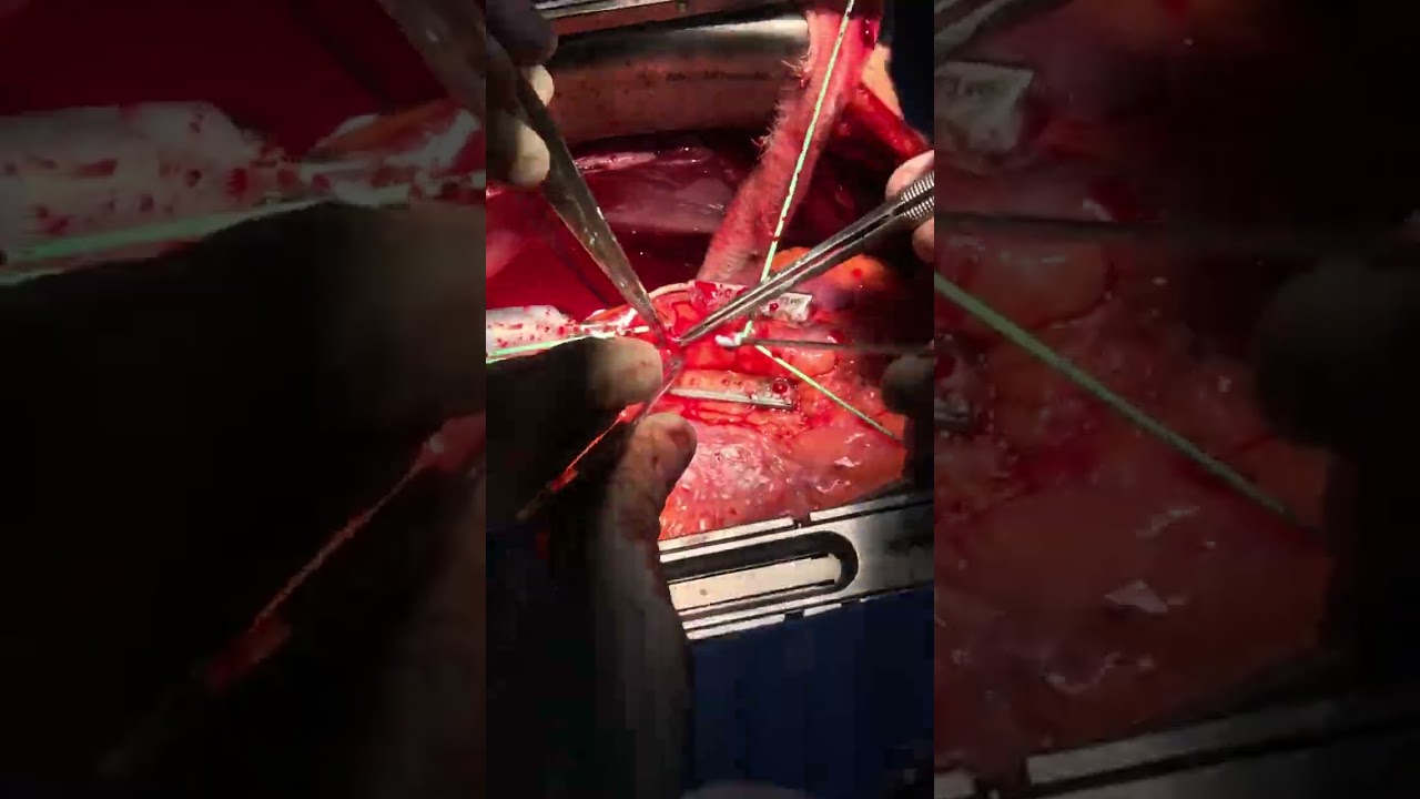 Victor Manuel Carmona Delgado-44