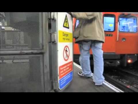 Underbelly Trailer DDS Graffiti