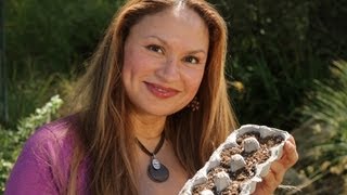How to Start Seeds to Save Money on Plants For Your Garden: Gardening Tips