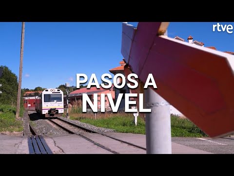 PASOS A NIVEL | Seguridad Vital