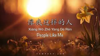 像我这样的人 People Like Me [毛不易 Mao BuYi] - Chinese, Pinyin &amp; English Translation 歌词英文翻译