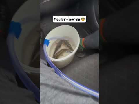 Trick 17 beim Angeln, Fische mit Sauerstoff versorgen #shorts #short #shortvideo #youtubeshorts