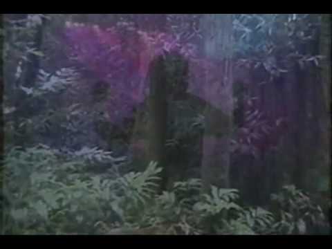 Aphex Twin vs. Beastie Boys vs. Madonna