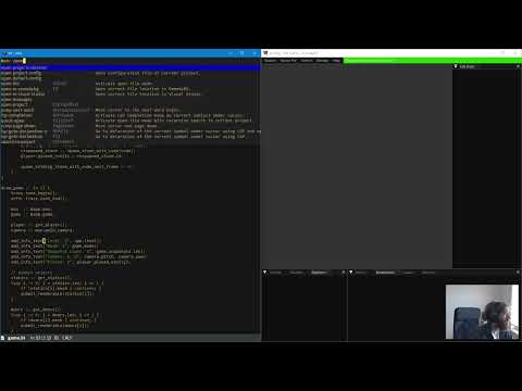 Tine Code Editor - RemedyBG