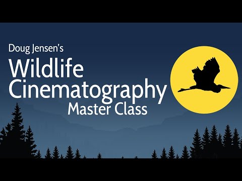 DOUG JENSEN'S WILDLIFE CINEMATOGRAPHY MASTER CLASS