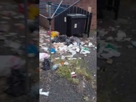 Romanian gypsys dump rubbish UK