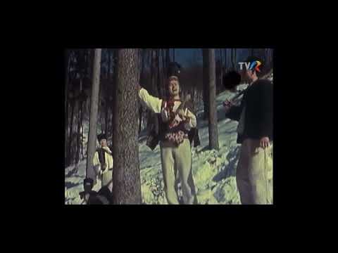 Gheorghe Turda - Când pleci tătucă la munte - Arhiva