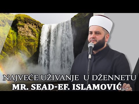 Najveće uživanje u džennetu ⁴ᵏ mr. Sead-Ef. Islamović #hadzimehovadzamija
