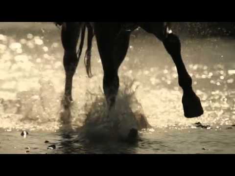 Download Video Mp4 Avicii Wake Me Up Mp3 dan Mp4 Tanpa Ribet Gratis