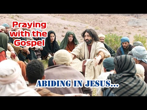 Are You Prepared to Abide in Jesus ? | Praying with the Gospel with Fr Lindsay
