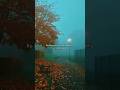 Mujhe Fursat Hi Kahan Ke Mausam Suhana Dekhun Sad Shayari Status Tearful Words