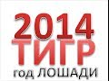 тигр гороскоп 2014 год Лошади китайский гороскоп. Рождены в год тигр на 2014 ...