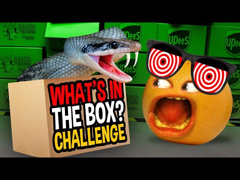 惱人的橙子 - 盒子裡有什麼?挑戰!!! (Annoying Orange - What's In The BOX?? Challenge!!!)
