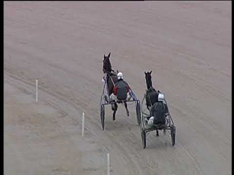 Trotto 02/11/2018 - 2ª prova di qualifica