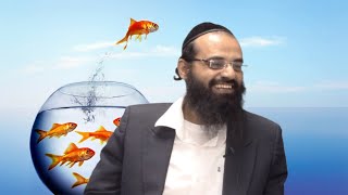 הרב ברק כהן - יציאה מאיזור הנוחות