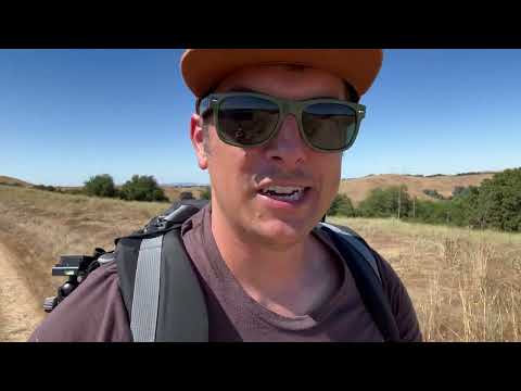 Phlex on Rails: Week 4 update