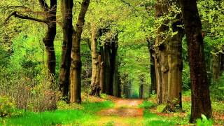 Download lagu Elgar - Wand of Youth, Suite No 2 - Thomson mp3