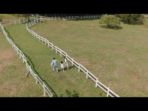 115年1月份公共服務政策溝通短片