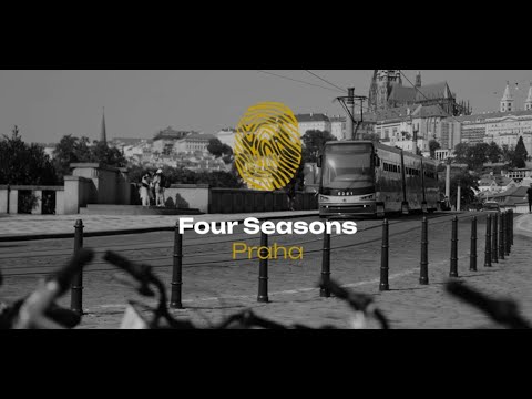 Náhled pro video reference