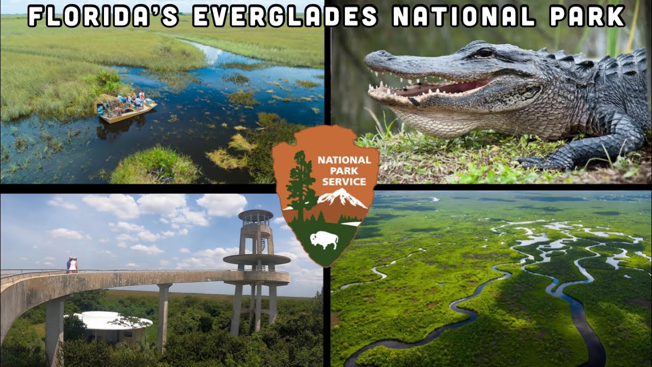 ULTIMATE GUIDE to Everglades National Park - Best Tours, Trails & Wildlife | Florida, USA (2023)