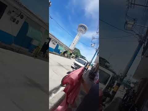 FARO - PUERTO TRIUNFO