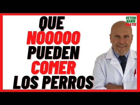 🔴 WHAT FOODS SHOULD DOGS NOT EAT? 🔴