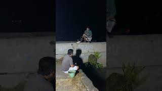 Download lagu iwak e gede banget sak wit kambil #shortvideo #shortviral mp3