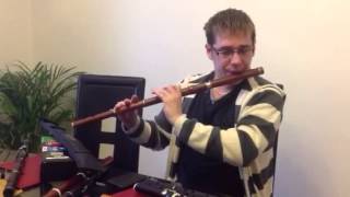 Matt Dean playing on a mopane Rudall Rose model D flute by Tony Millyard