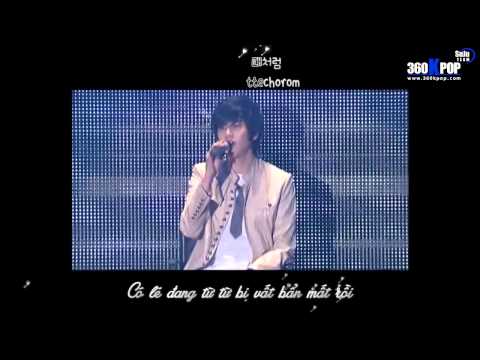 [SuJu Team@360Kpop][Vietsub+Kara] Super Junior - She's gone