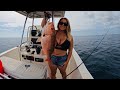 Offshore Fishing Gulf of Mexico Red Snapper Red Grouper and Almaco jack