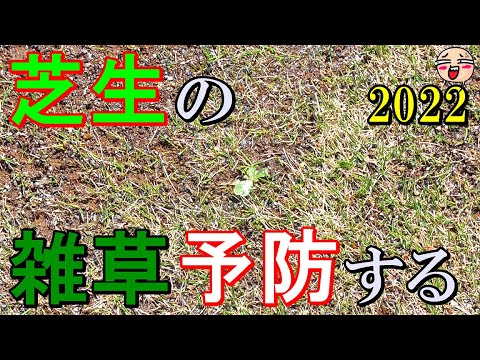 芝生の雑草と戦う トピックス