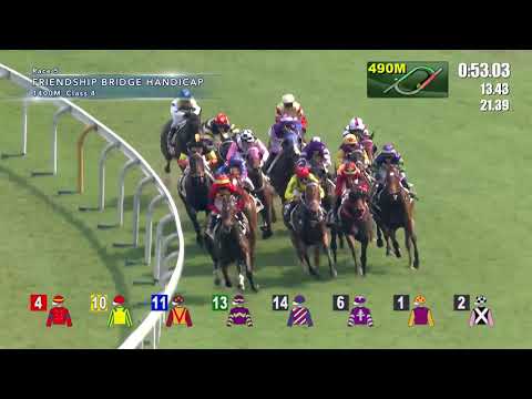 Hong Kong Race Replay - Sha Tin - May 11, 2019