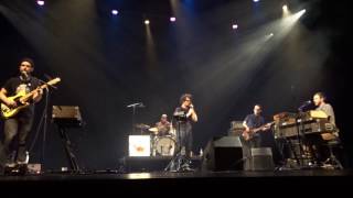 Brother Roland, Pickwick, Kirkland, WA, 2016