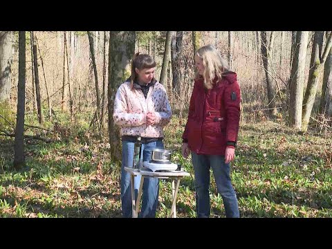 Sandrines Landapotheke: Fichten-Harz heilt Wunden