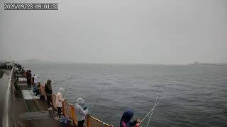 磯子海づり施設 横浜フィッシングピアーズ