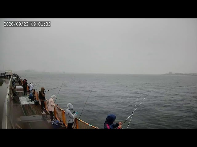 磯子海づり施設 横浜フィッシングピアーズ